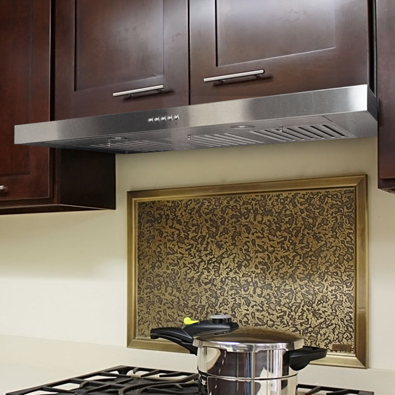 30" Brillia 750 CFM Ducted Under Range Hood & Reviews AllModern